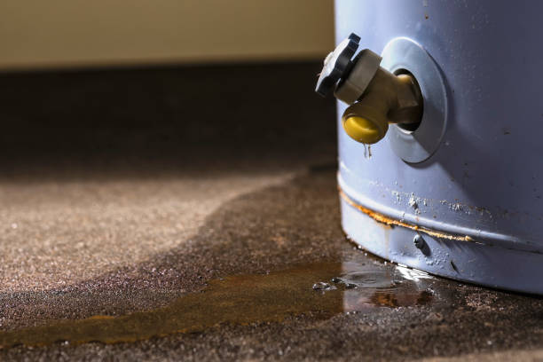 Best Water damage restoration process  in Lutz, FL