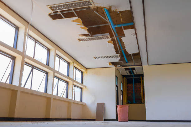 Best Residential water damage restoration  in Lutz, FL