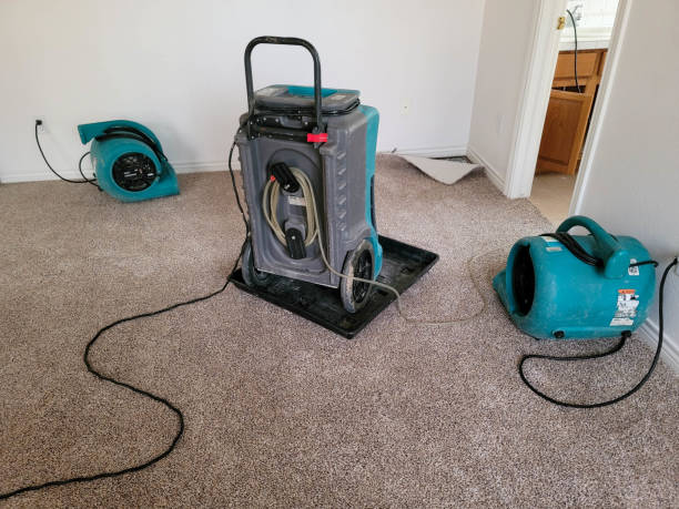 Best Water damage restoration near me  in Lutz, FL