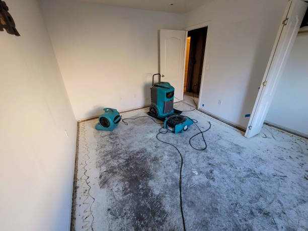  Lutz, FL Water damage restoration Pros
