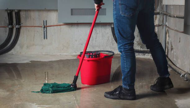Best Flooded house restoration  in Lutz, FL