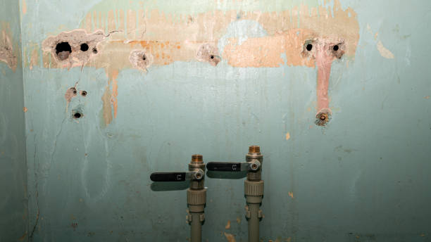 Best Ceiling water damage repair  in Lutz, FL