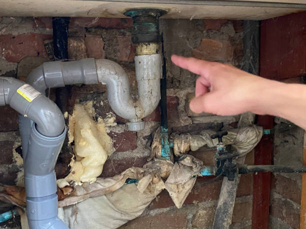 Best Water damage restoration near me  in Lutz, FL