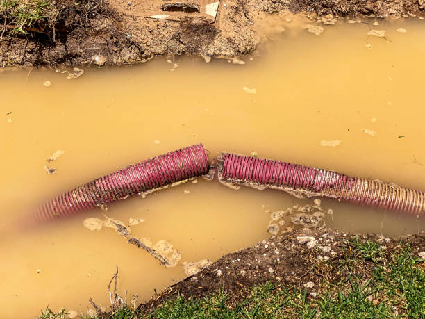 Best 24-hour water damage restoration  in Lutz, FL