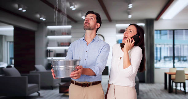 Best Flood damage cleanup  in Lutz, FL