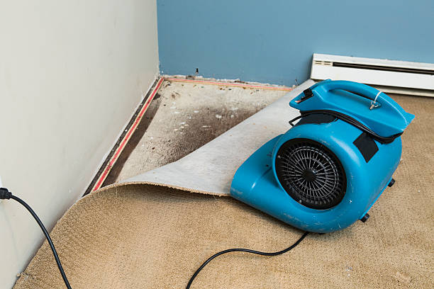 Best Emergency water damage restoration  in Lutz, FL