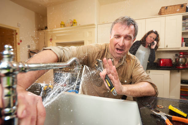 Best Water damage restoration insurance claims  in Lutz, FL